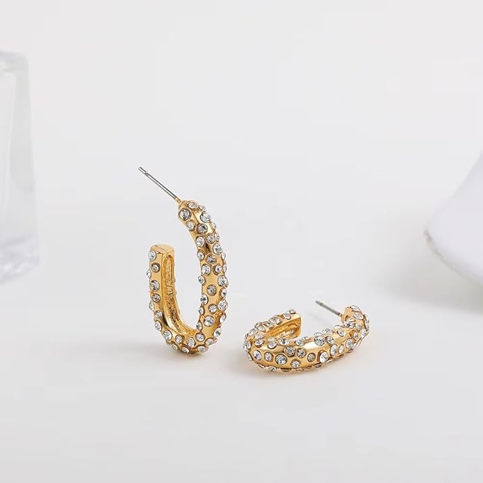 Blingy Hoop Earrings