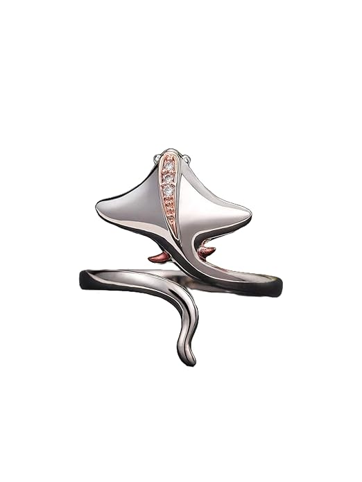 A diamond-centered silver ring.